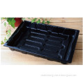 Plastic Bottom Seed Germination Tray